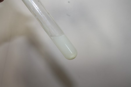 Résultat de l'expérience témoin -> présence d'un précipite blanc